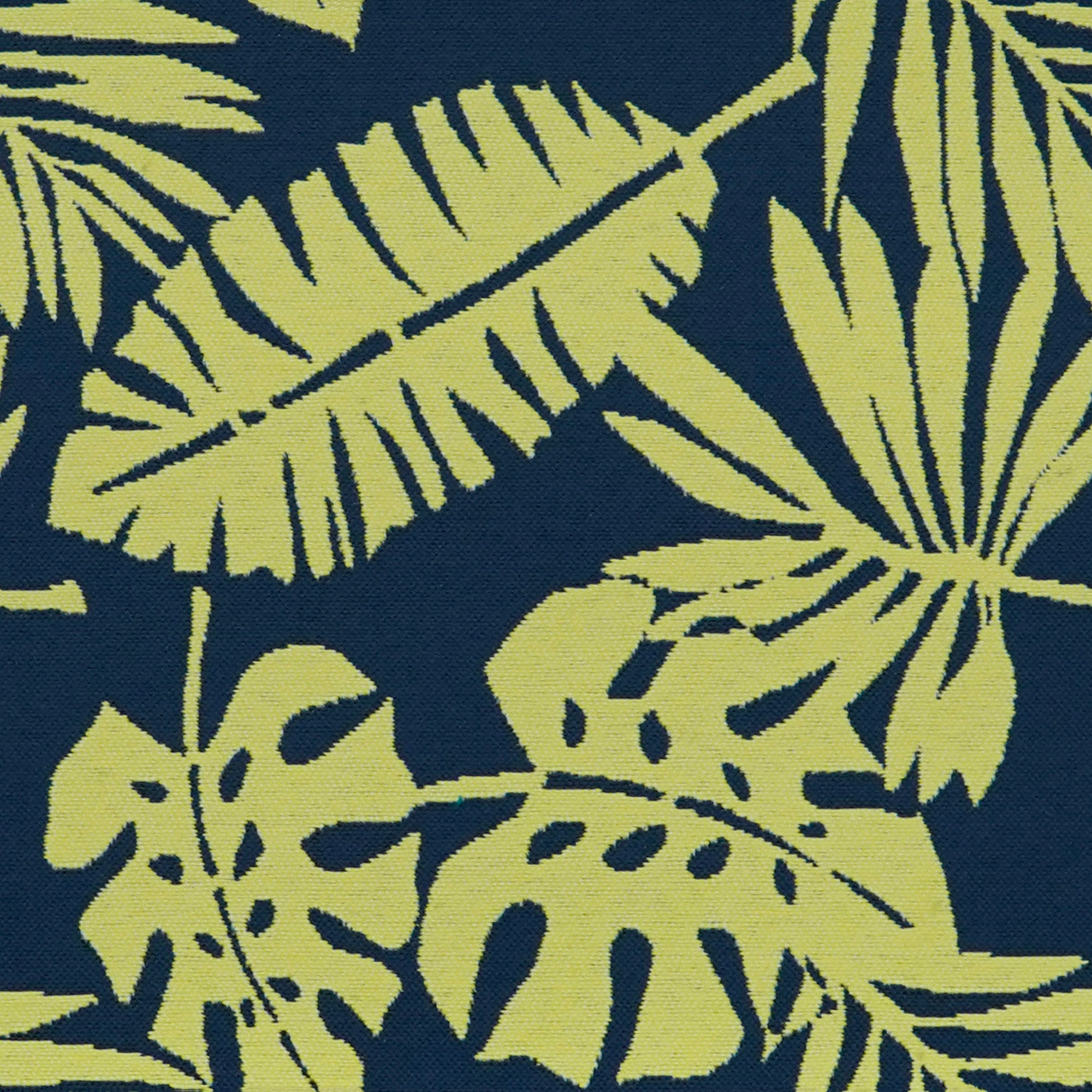 TROPICAL CADET - FlexionHome